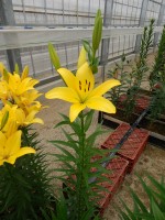 [5690 DJ LA-01 No01.JPG]